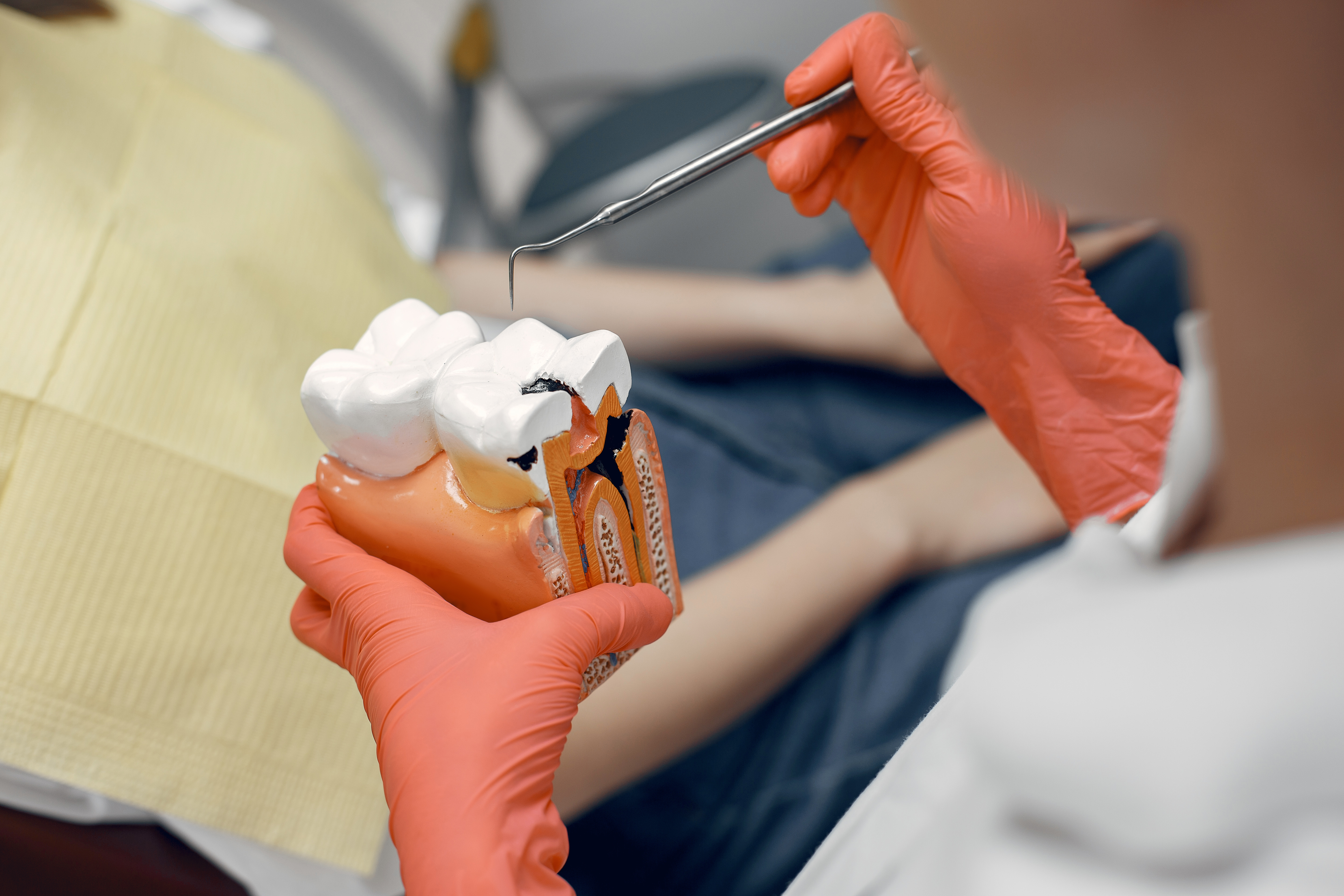 Dental Services Image 1